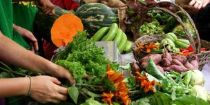 Verduras. Crédito foto: Camille Dehu