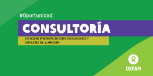 Banner-Consultoria-Investigacion-Amazonia