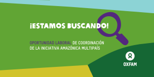 Banner-Iniciativa-Amazonica-LAC