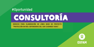 Consultoría elaboración de linea base 