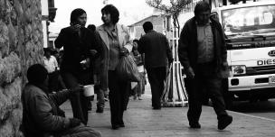 Ximena Albites Baca
