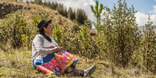 Publicación "Más allá de la productividad" 