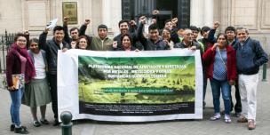 Plataforma Nacional de Afectados y Afectadas por Metales Tóxicos