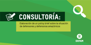 consultoría policy brief