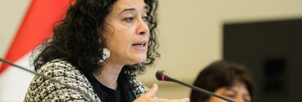 Relatora Especial ONU