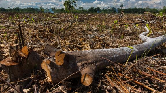 Deforestación en la Amazonía peruana