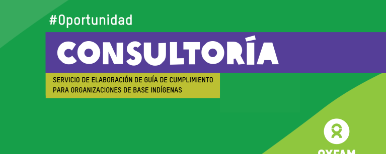 Banner-Convocatoria-Guia-APCI