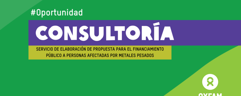 Banner-Consultoria-FinanciamientoAfectadosMetalesPesados