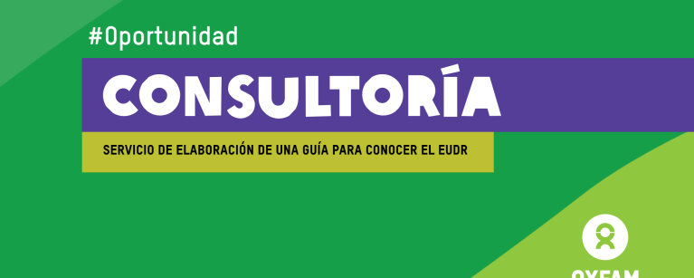 Oportunidad de consultoría