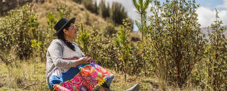 Publicación "Más allá de la productividad" 