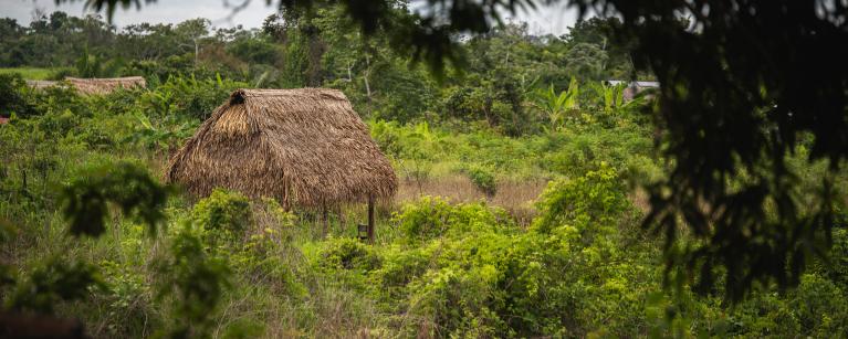 Comunidad Santa Clara, Ucayali - Mathieu Laprise