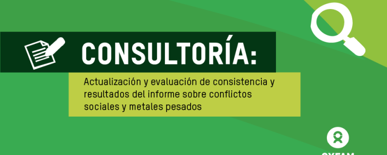 Consultoría actualización y evaluación