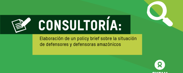consultoría policy brief