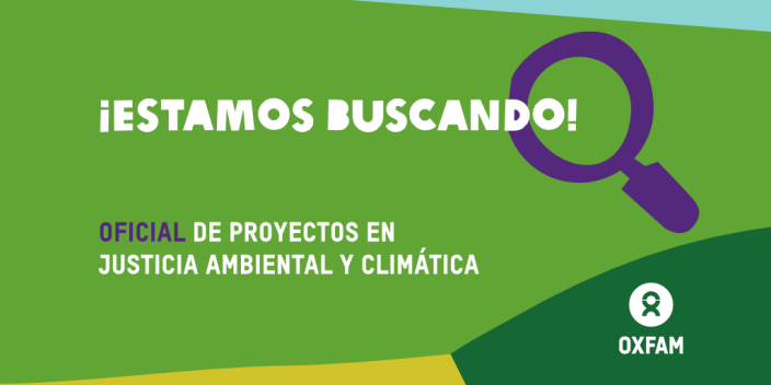 Oficial de proyectos
