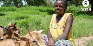 18 septembre 2019 – Elisabeth KARIOM, 35 ans, a reçu trois cabris de la part d’Oxfam pour démarrer une activité de petit élevage au nord de Paoua, dans le nord-ouest de la RCA. © Aurélie Godet/Oxfam RCA