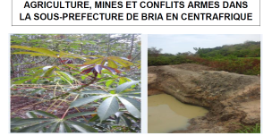 Illustration rapport - Agriculture, mines et conflits armés à Bria