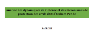 Illustration rapport - Violences et protection dans l'Ouham-Pendé