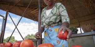 Sarah from Zimbabwe selling tomatoes from her Oxfam supported Nyanyadzi Irrigation Scheme in Zimbabwe (Photo: Cynthia Matonhodze/Oxfam