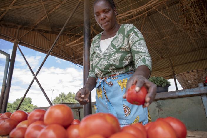 Sarah from Zimbabwe selling tomatoes from her Oxfam supported Nyanyadzi Irrigation Scheme in Zimbabwe (Photo: Cynthia Matonhodze/Oxfam