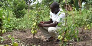 Oxfam in Uganda Newsletters