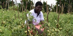 Betty Asio is a member of Egangainos Farmer Field School, comprised of 30 members, found in Onyerai, Asuret Soroti District  Betty Asio is a member of Egangainos Farmer Field School, comprised of 30 members, found in Onyerai, Asuret Soroti District