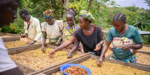 The Humanitarian Development and Peacebuilding Nexus