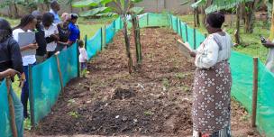 urban food hives