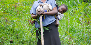 Climate change is the single biggest threat to fight hunger. For women producers it means investing their labour,time and money in vain. Adaptation therefore becomes crucial