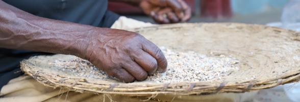 Resilient Livelihoods