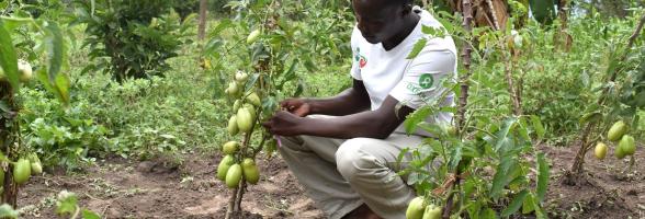 Oxfam in Uganda Newsletters