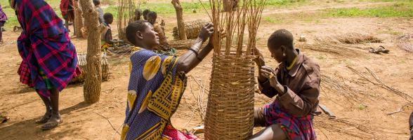 Beekeepers in Moroto, making beehives