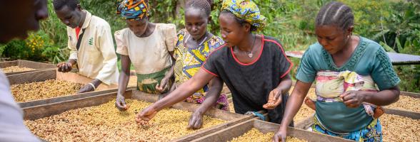 The Humanitarian Development and Peacebuilding Nexus