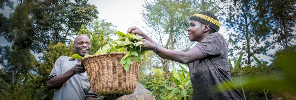 Combating food insecurity