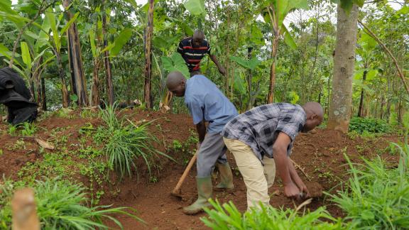Farmers digging contours