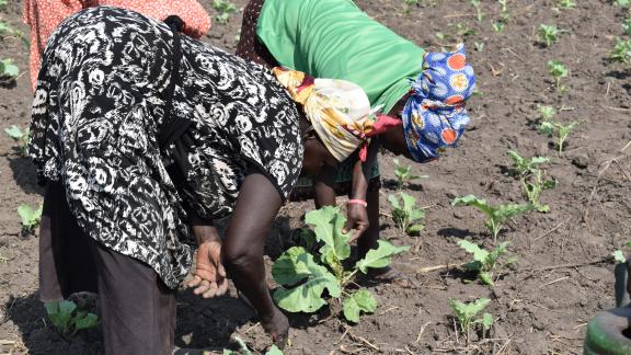 Some of the members of Golimori Farmer Field School in Adjumani District