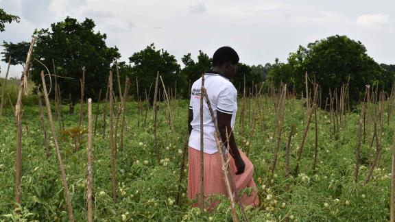 Betty Asio is a member of Egangainos Farmer Field School monitoring her tomato garden