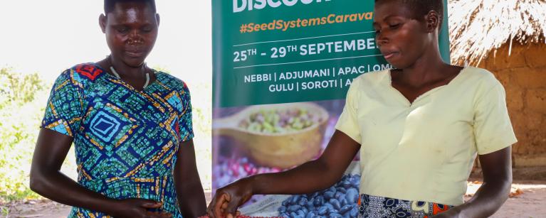 Seed Systems Caravan