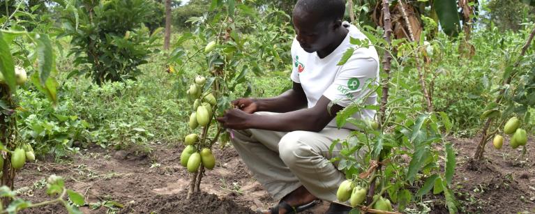 Oxfam in Uganda Newsletters