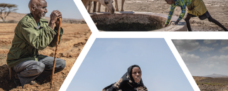 Climate Finance Shadow Report for Intergovernmental Authority On Development Regional Economic Community