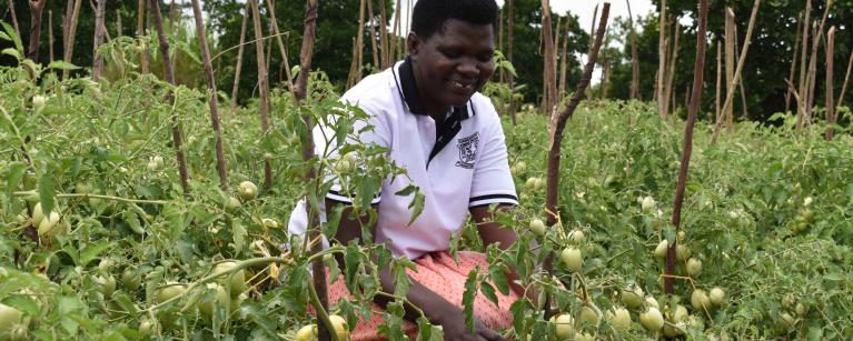 Betty Asio is a member of Egangainos Farmer Field School, comprised of 30 members, found in Onyerai, Asuret Soroti District 