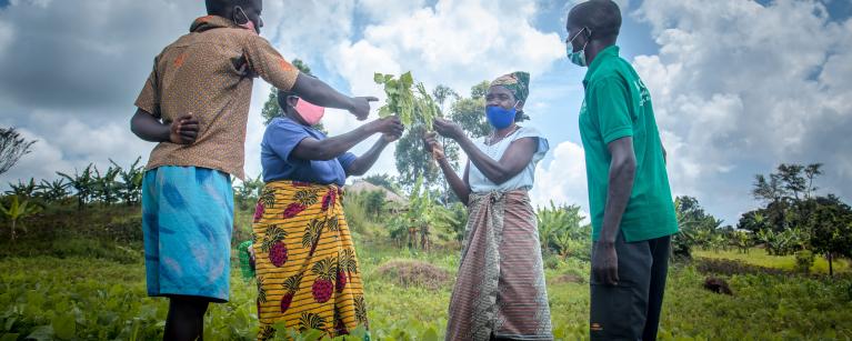 Farmer Field School group members in Adjumani