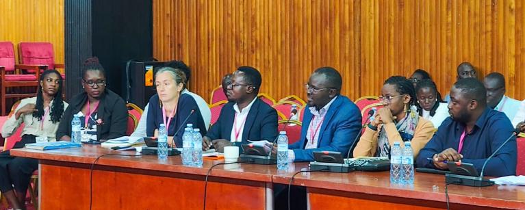 INGOs petition to parliament