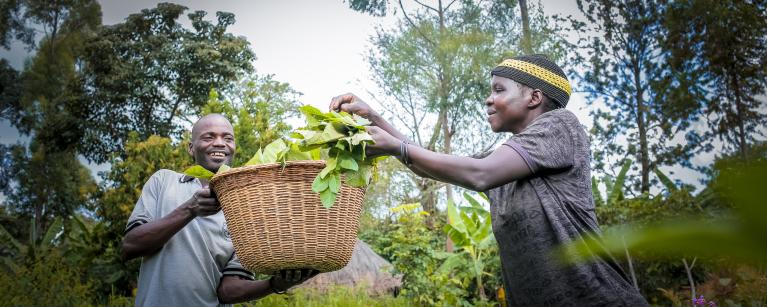 Combating food insecurity