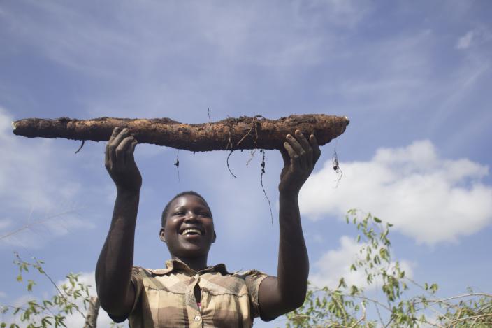 Atimango Sharon raises a cassava stem tuber harvested from the joint farmers group garden. Photo credit: Oxfam