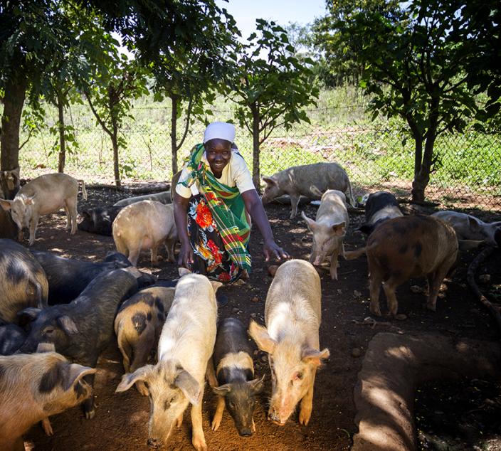 Joseph and Maria taking care of their pigs