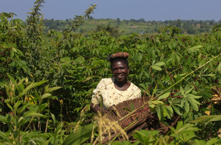 Zawadi Esther harvesting cassava on her farm in Tiapi village, Ayavu Parish. The mother of five children supports her family with farming.