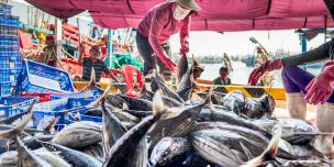 A fisherwoman at work in the Mekong Delta. Credit: Oxfam Vietnam