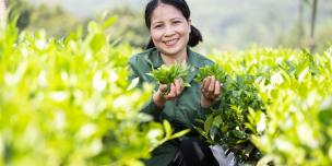 chi Du nguoi nau che Thai Nguyen