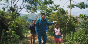 forest allocation