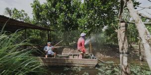 Smart Irrigation Transformed Lives in Mekong Delta